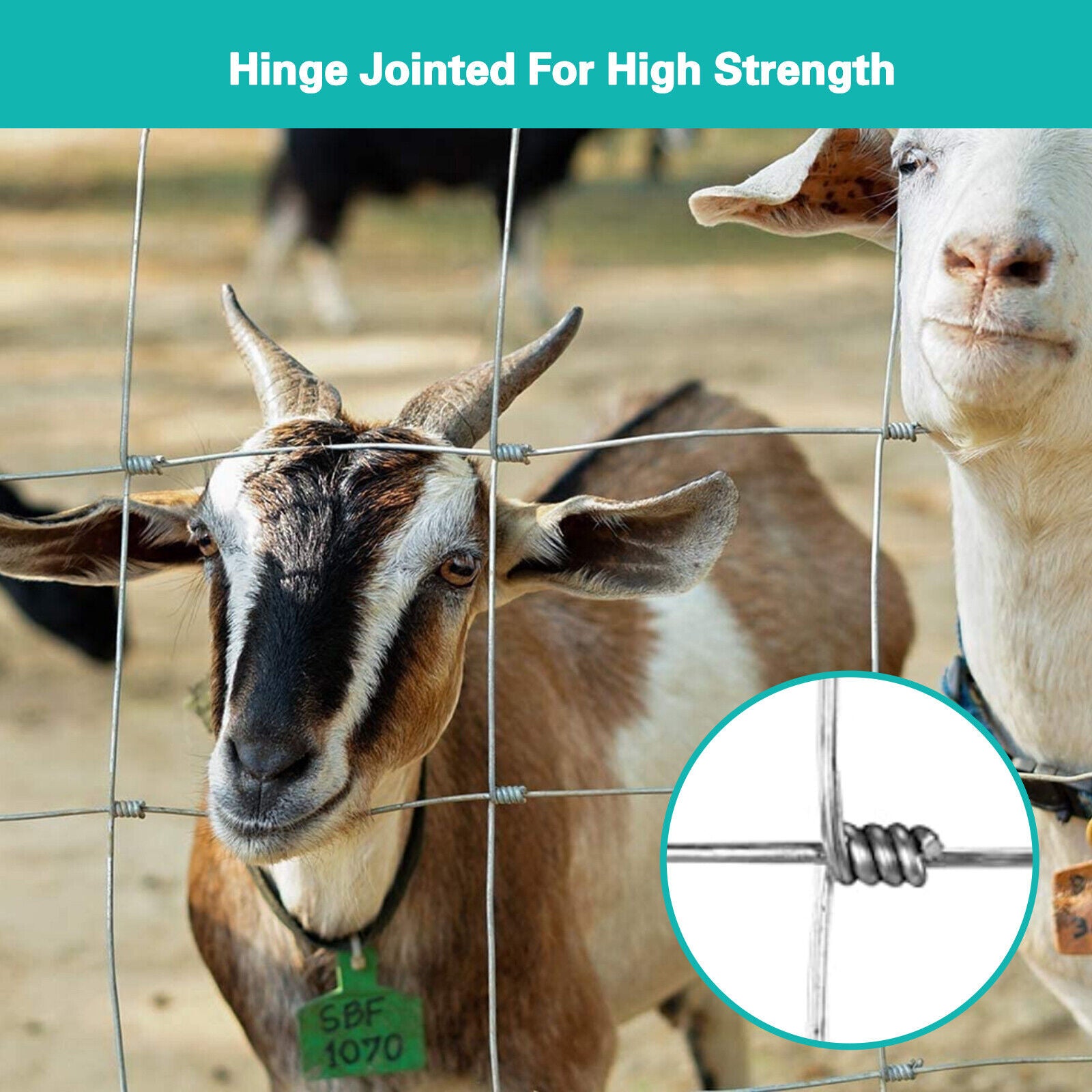 0.8M High 25M Long Stock Fencing Livestock Fence Galvanised Wire Barrier Fence