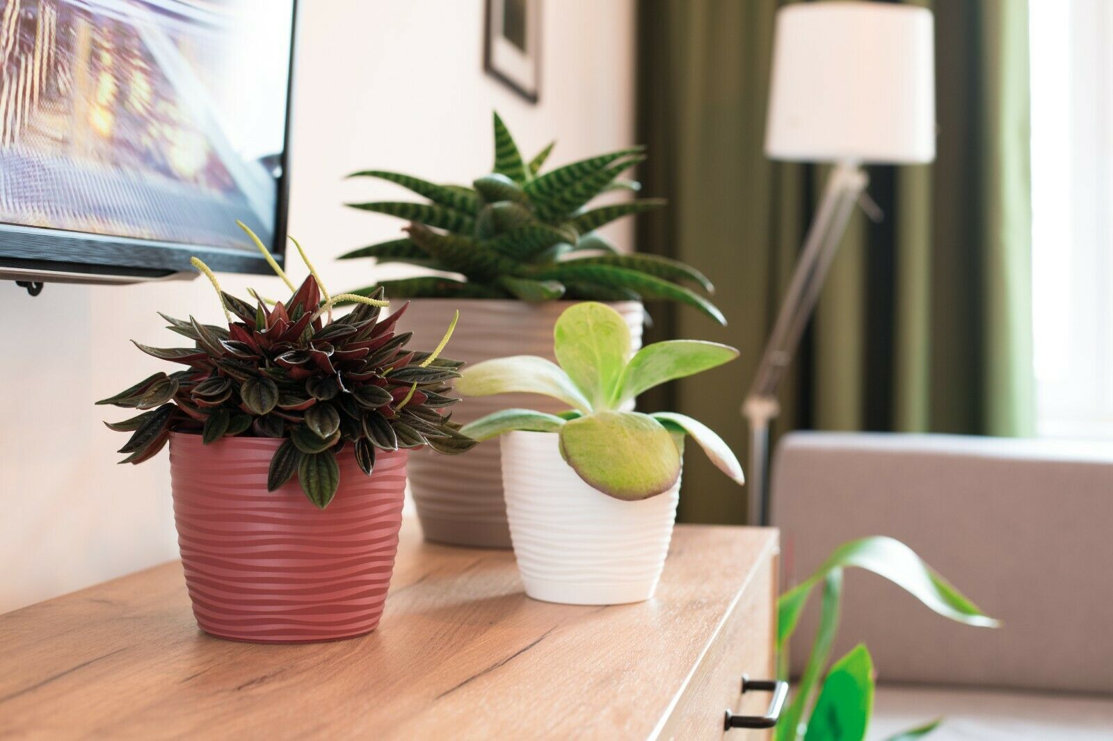 Plant Pots With Saucers Sahara Flowerpot Garden Flower Planters Indoor Stand