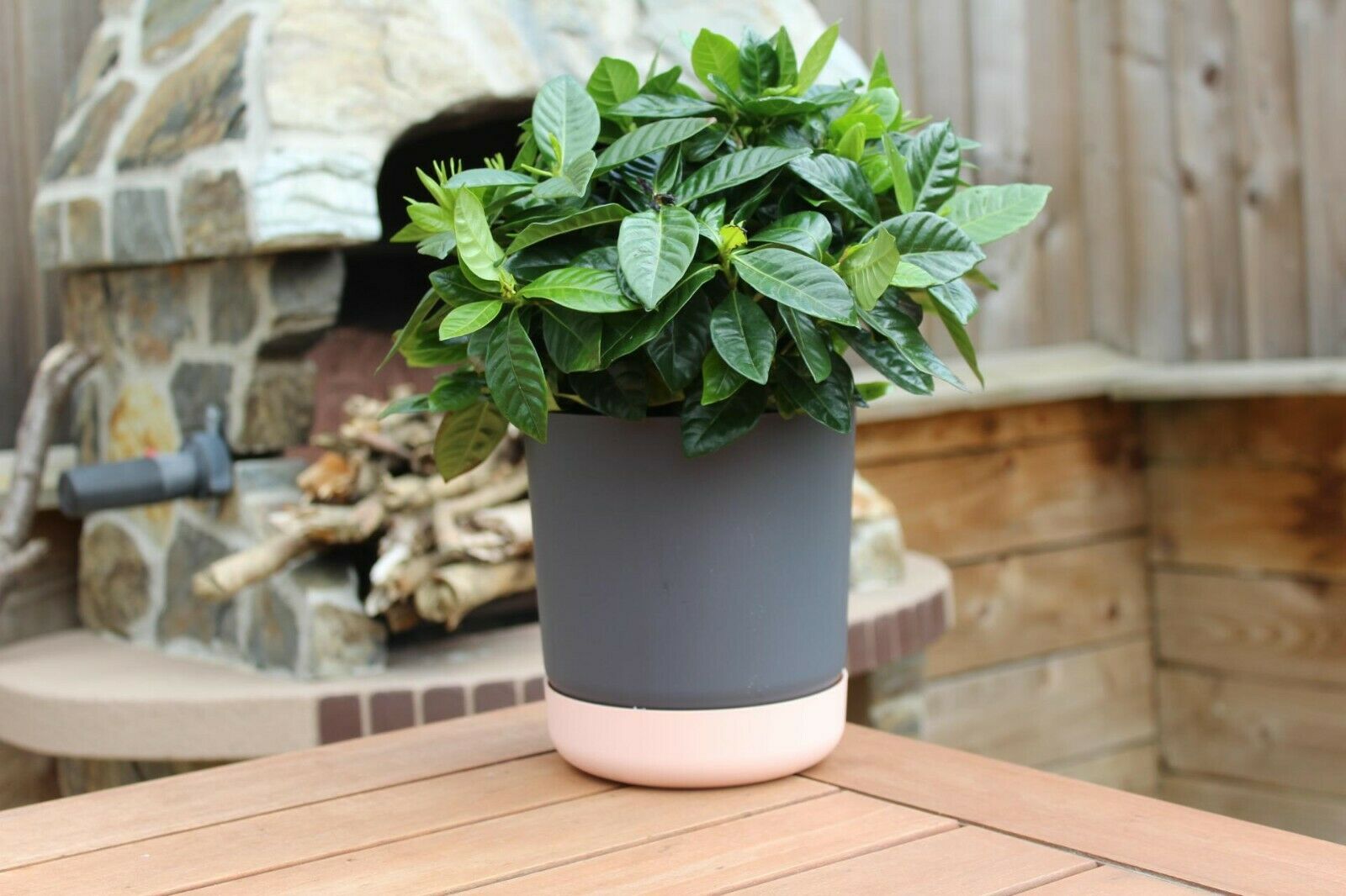 Satina Duo Plant Pots With Saucers Garden Flower Planters Indoor Stand Flowerpot