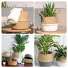 Seagrass Belly Basket Flower Plants Pots Laundry Storage Home Garden Organizer