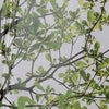Family Green Tree Wall Sticker Vinyl Art Home Decals Room Decor Mural Branch