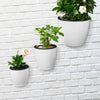 3Pcs Wall Hanging Plant Flower Pot Self-watering Plastic Planter House Garden
