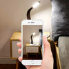 LED Dimmable Reading Bedside Lamp Table Desk Light Calendar Clock Touch