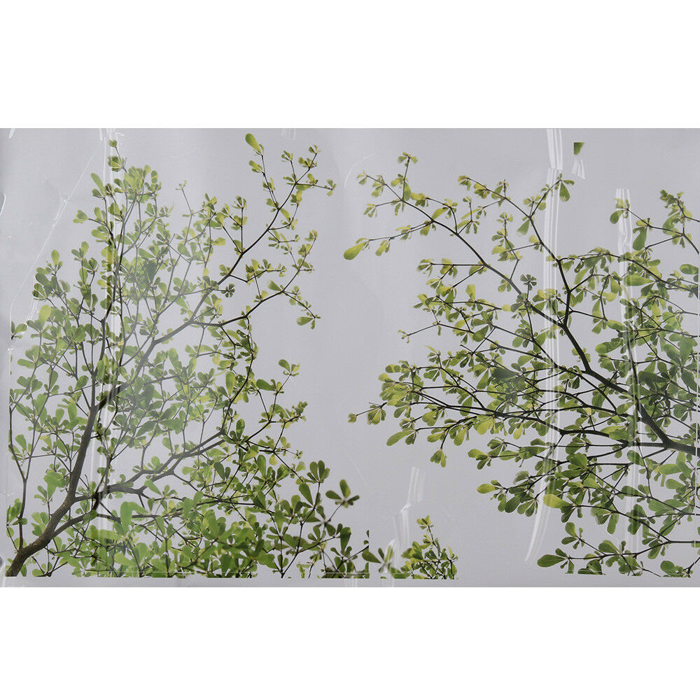 Family Green Tree Wall Sticker Vinyl Art Home Decals Room Decor Mural Branch