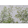 Family Green Tree Wall Sticker Vinyl Art Home Decals Room Decor Mural Branch
