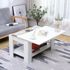 Wooden Sliding Top Coffee/Sofa/Tea Table Modern Living Room Bottom Storage Shelf
