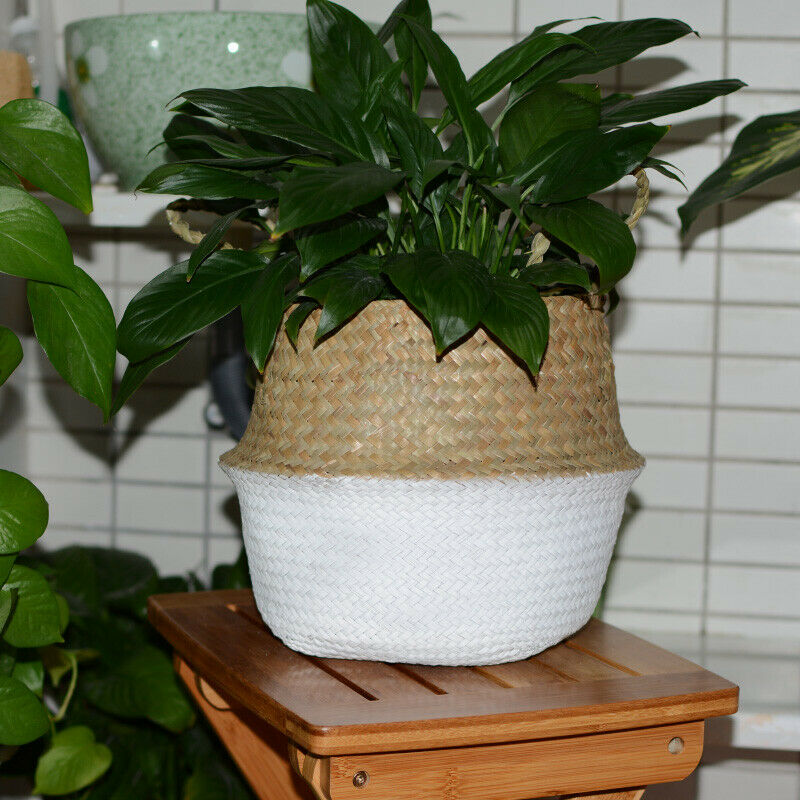 Seagrass Belly Basket Flower Plants Pots Laundry Storage Home Garden Organizer
