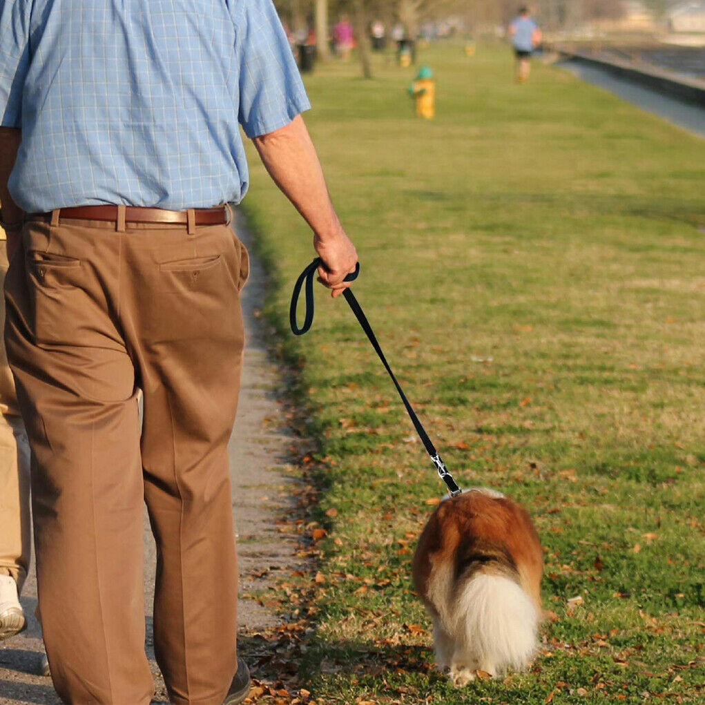 2m Two Way Dog Lead/Leash Splitter Strong Nylon Rope Twin/Double Walk Webbing UK