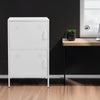 2 Door Filing Cabinet Office School Metal File Document Storage Shelf Cupboard