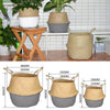 Seagrass Belly Basket Flower Plants Pots Laundry Storage Home Garden Organizer