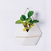 Flower Plant Pot Indoor Outdoor Garden Wall Fence Hanging Planter Box Pot Basket