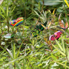 50Pcs Butterfly Garden Metal Stake Patio Lawn Yard Wedding Outdoor Village Deco