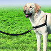 2m Two Way Dog Lead/Leash Splitter Strong Nylon Rope Twin/Double Walk Webbing UK