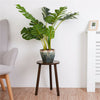 2x Small Side Table Round End Table Wood Plant Stand 3-Legs Stool Furniture Home