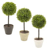 2x Potted Buxus Box Ball Plant Decorative Artificial Indoor Outdoor Garden Pot