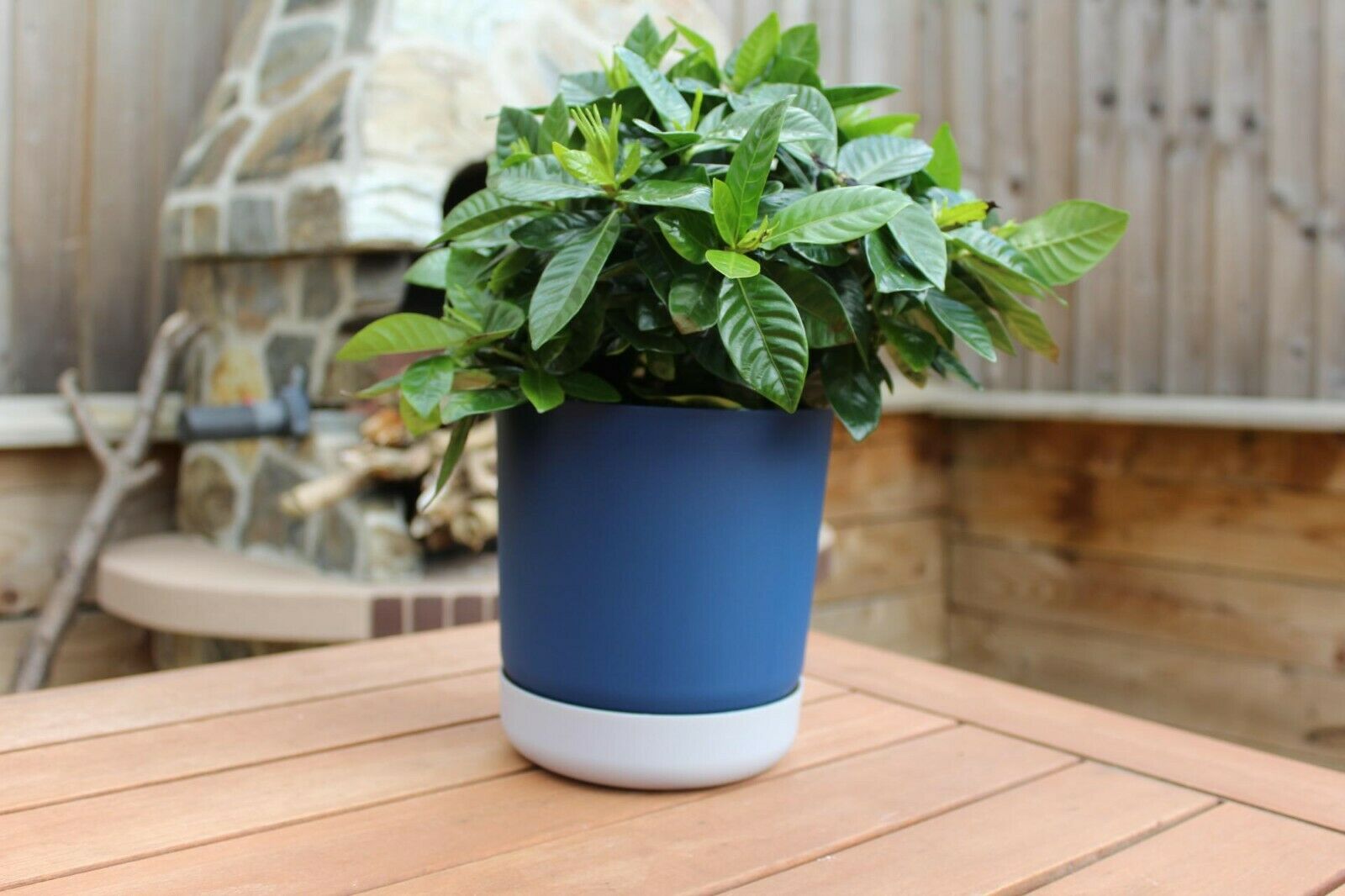 Satina Duo Plant Pots With Saucers Garden Flower Planters Indoor Stand Flowerpot