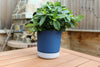 Satina Duo Plant Pots With Saucers Garden Flower Planters Indoor Stand Flowerpot