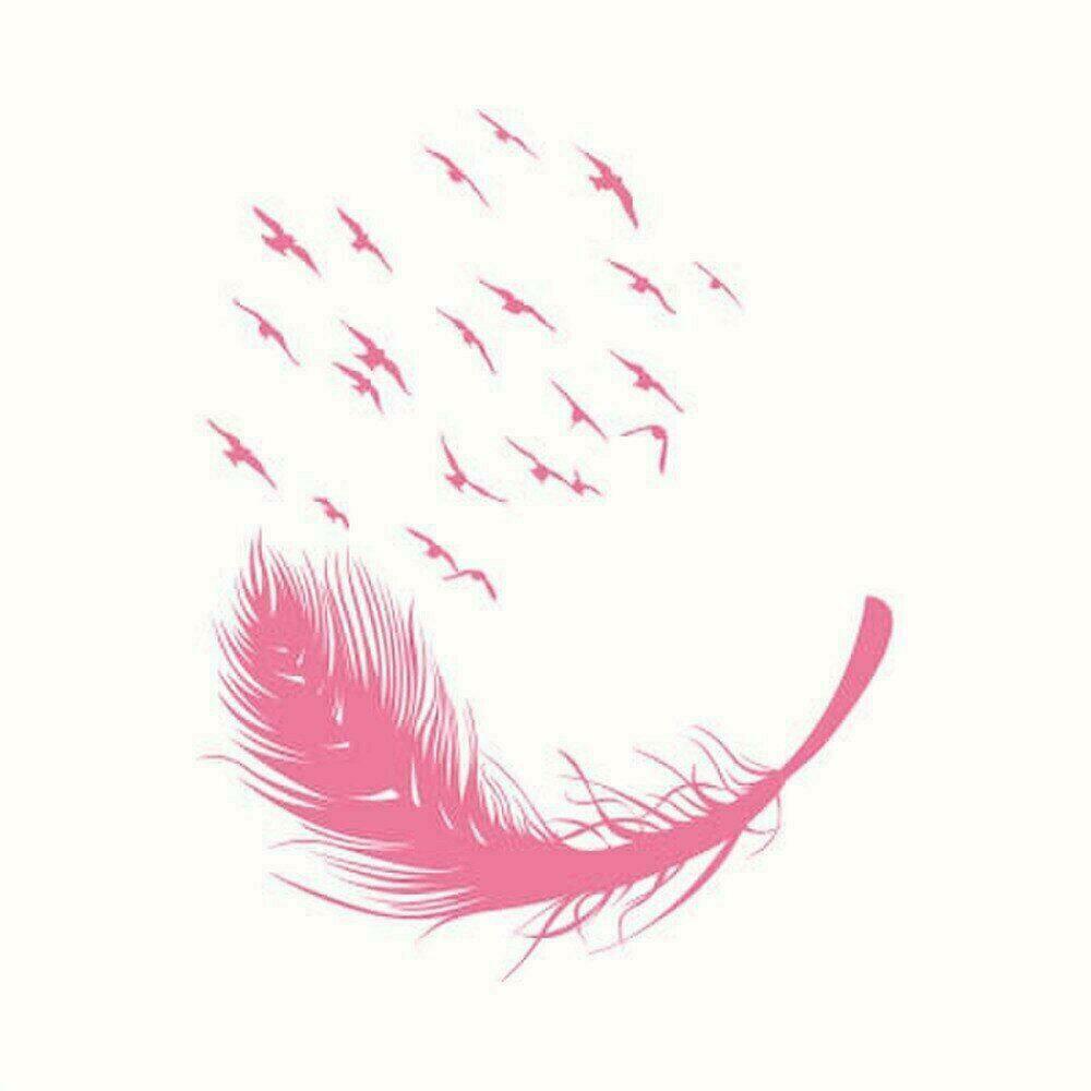 Large Feather Wall Art Stickers Birds Vinyl Decal Living Room Bedroom Home Decor