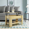 Lift Up Coffee Table with Storage
