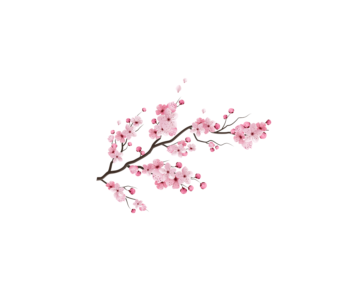 Large Cherry Blossom Flower Wall Stickers Art Decal Home Room Decor - Japanese