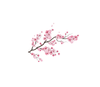 Large Cherry Blossom Flower Wall Stickers Art Decal Home Room Decor - Japanese