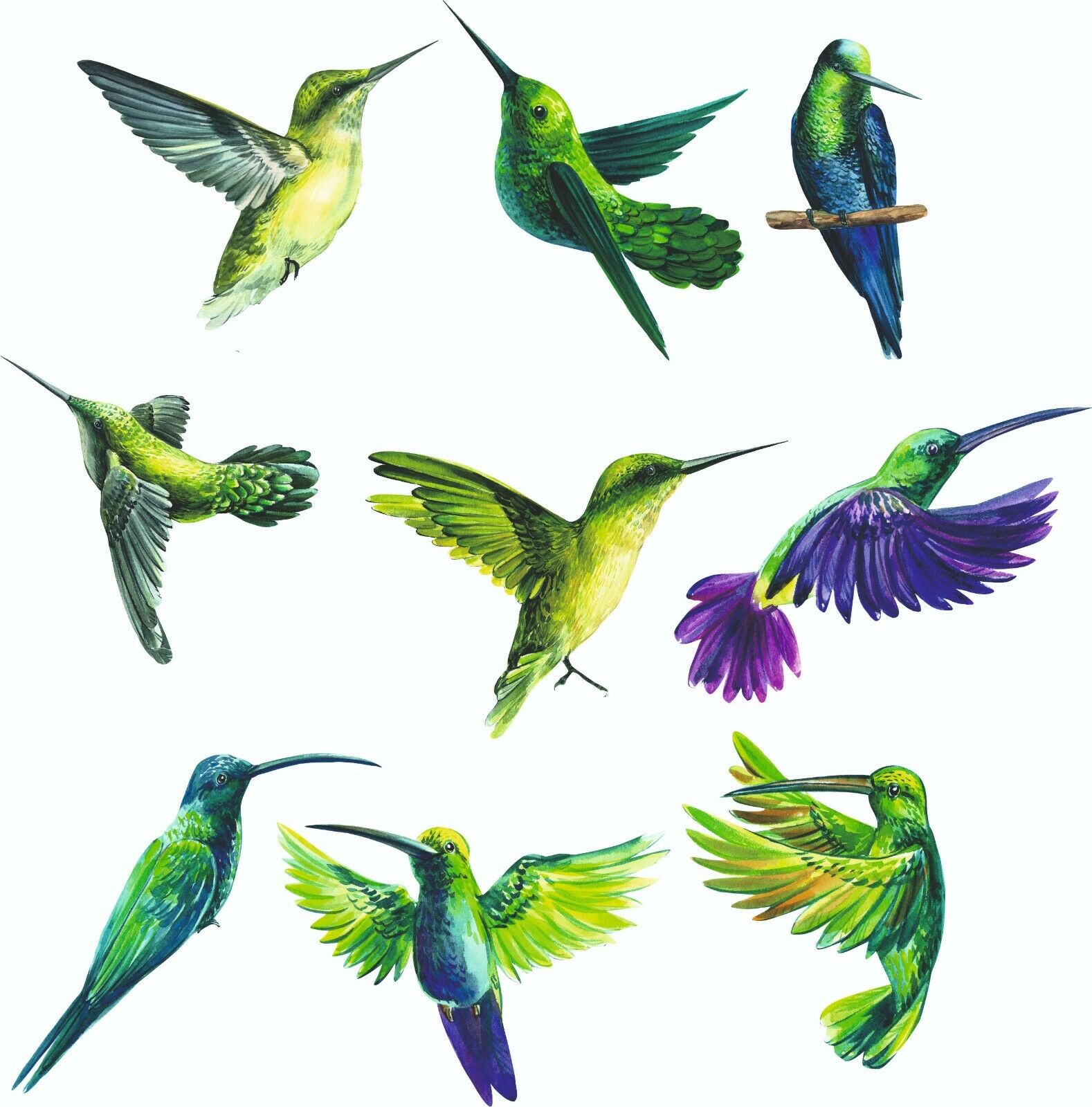 X9 Hummingbirds Birds Vinyl Stickers Colourful Room Wall - Decals z138
