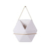Flower Plant Pot Indoor Outdoor Garden Wall Fence Hanging Planter Box Pot Basket