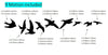 Flock of 23 Flying Birds Living Room Bedroom Bathroom Wall Art Sticker decals