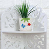 Corner Shelf Stand 4 Tiers Organizer Rack Bathroom Kitchen Storage Display Unit