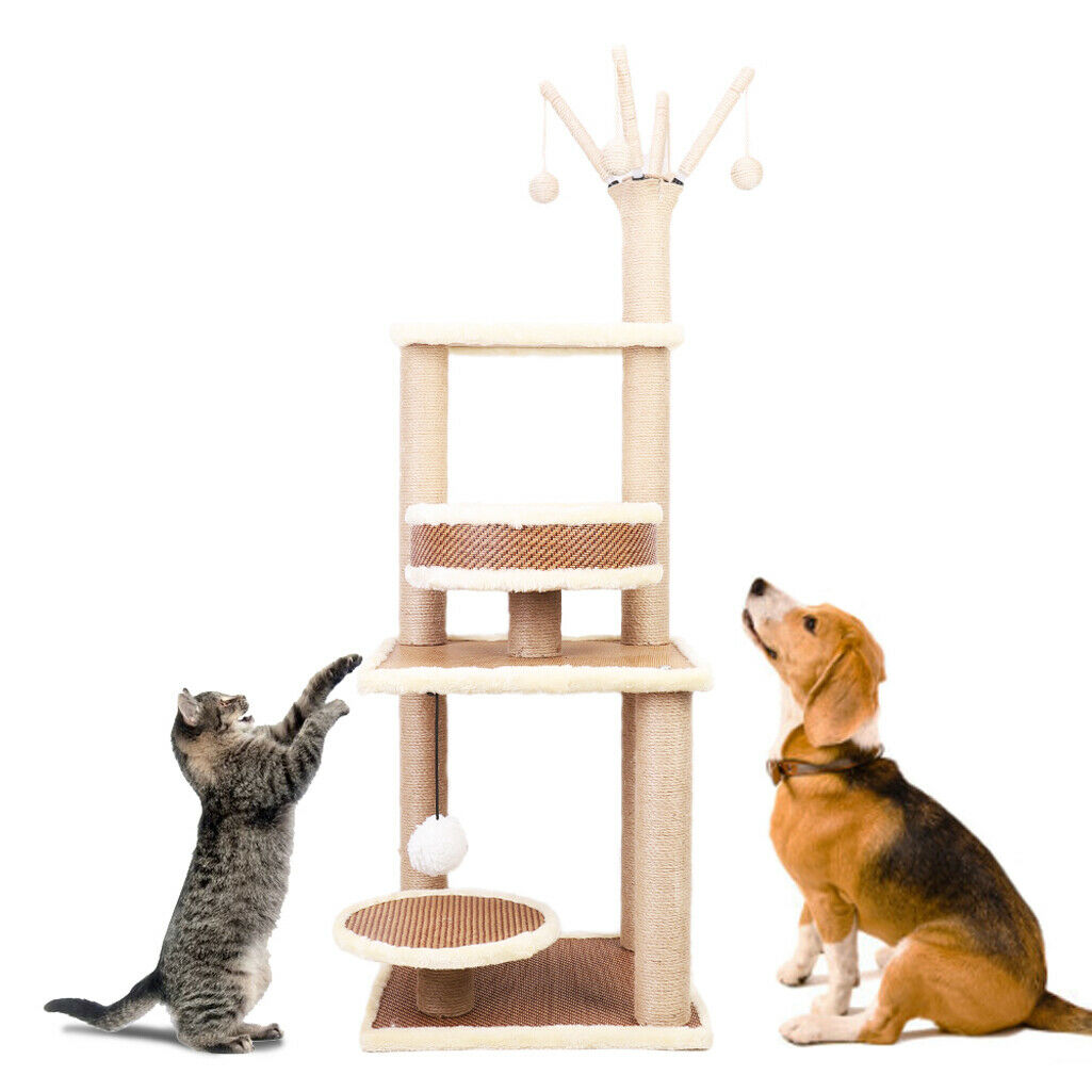 Kitten best sale climbing frame