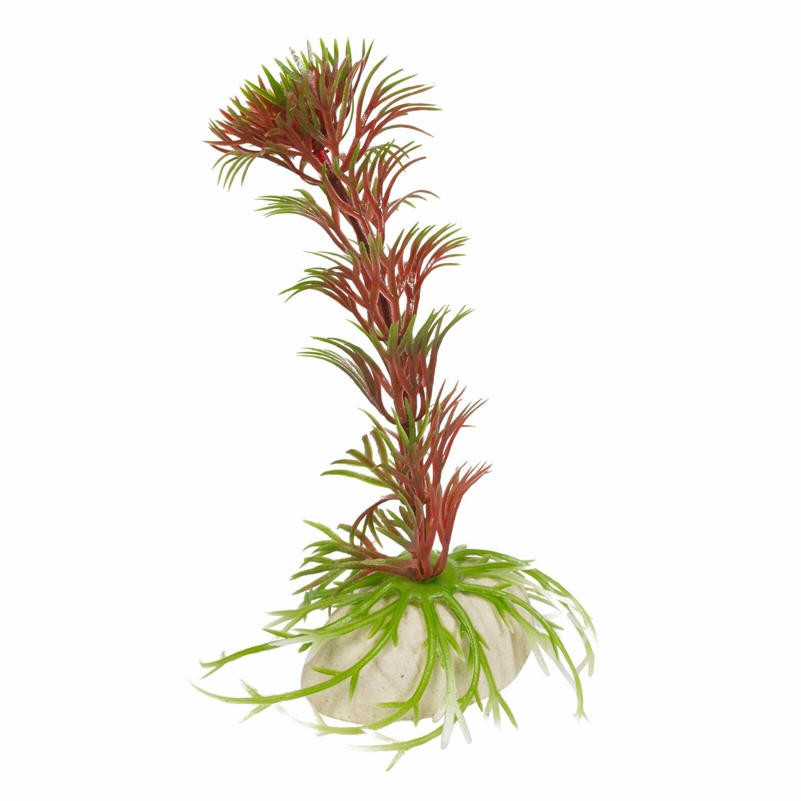 26 Litre Glass Aquarium Fish Tank Starter Kit Set Filter Pump Net Plant Stones