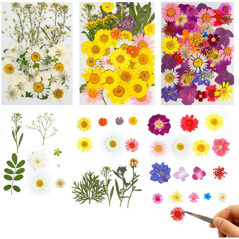 DIY for Resin Jewelry Making Decors Real Dried Press Flowers Candle Making Craft