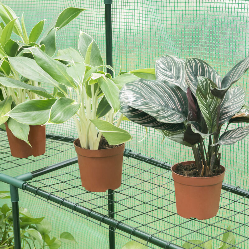 Greenhouse 143x143x195cm PE Garden Plant Grow Green House with Shelves Outdoor