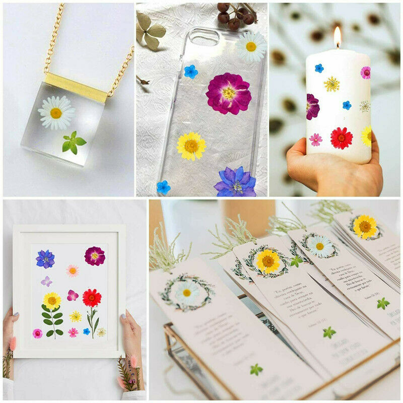 DIY for Resin Jewelry Making Decors Real Dried Press Flowers Candle Making Craft