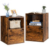 Set of 2 Nightstand Modern Sofa Side Table Bedroom End Table W/ Door Cabinet