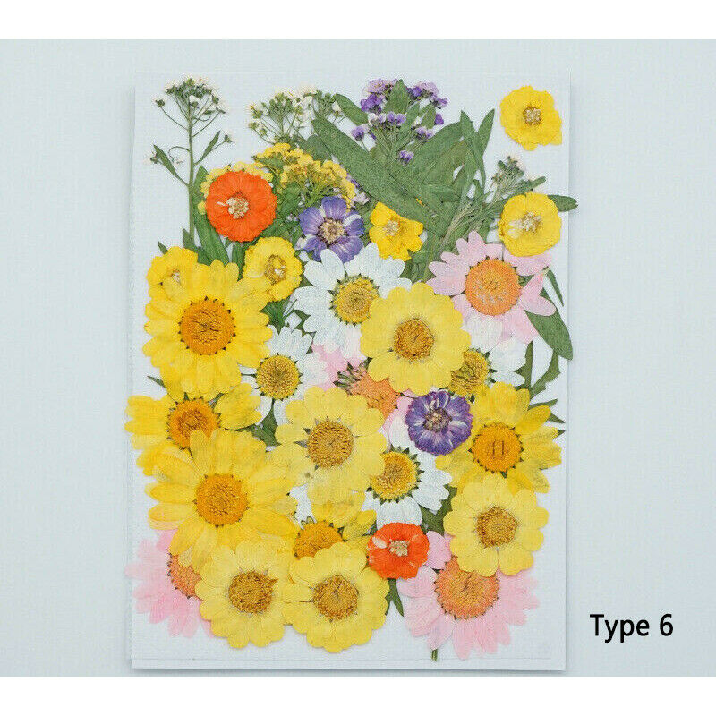 DIY for Resin Jewelry Making Decors Real Dried Press Flowers Candle Making Craft