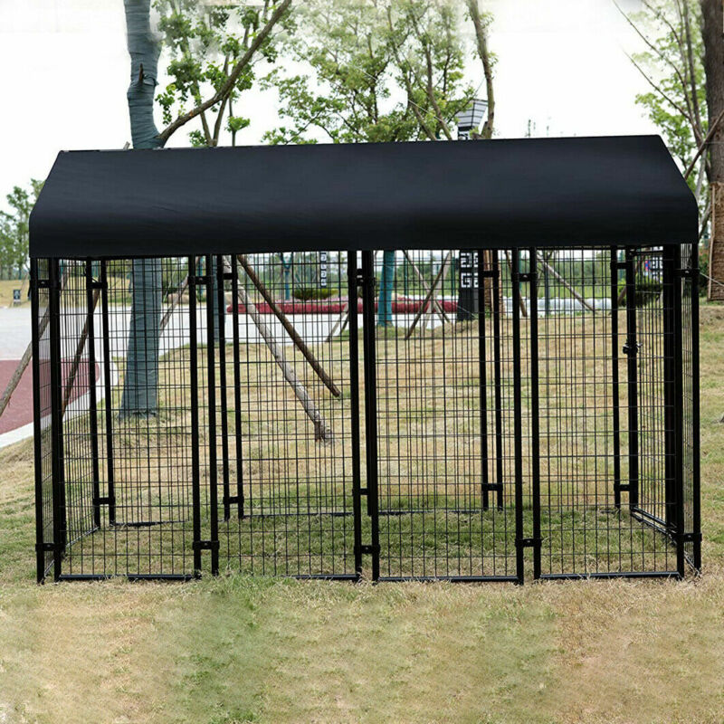 Wire fence dog sales kennel