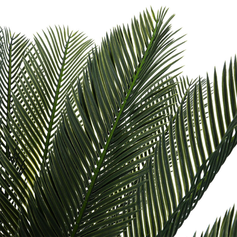 Large Ferns Cycas Tree Potted Green Plant Ficus Houseplant w/ Pot Indoor Outdoor