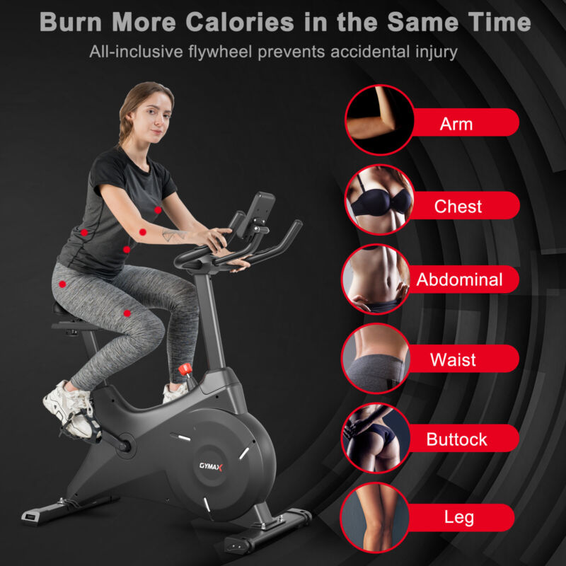 Magnetic Resistance Exercise Bike Belt Drive Indoor Stationary