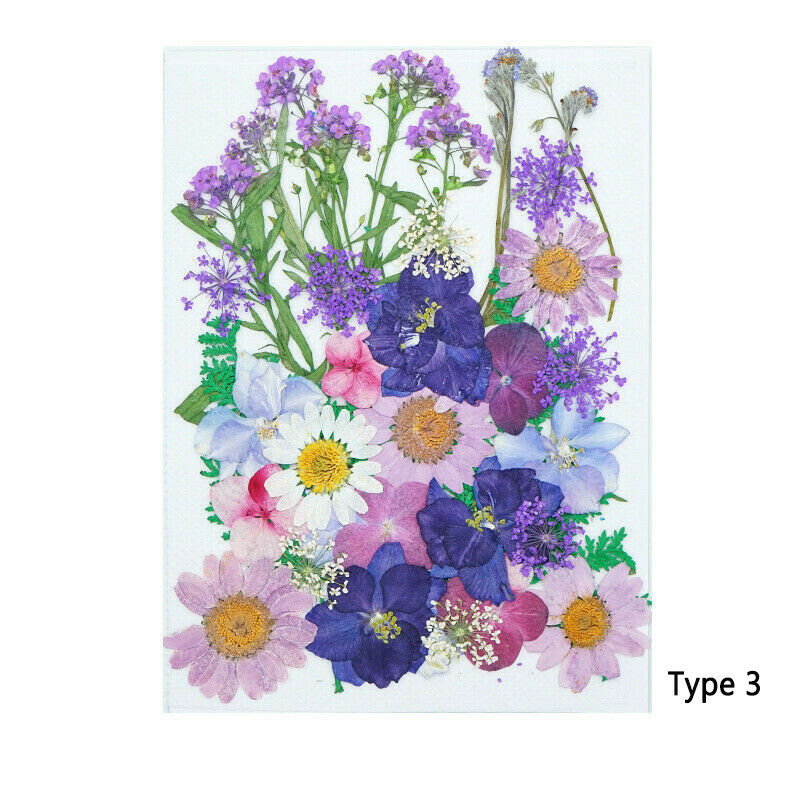 DIY for Resin Jewelry Making Decors Real Dried Press Flowers Candle Making Craft