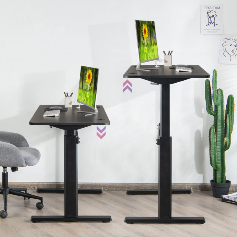 Electric Standing Desk Sit to Stand Workstation Ergonomic Computer Table W/ USB