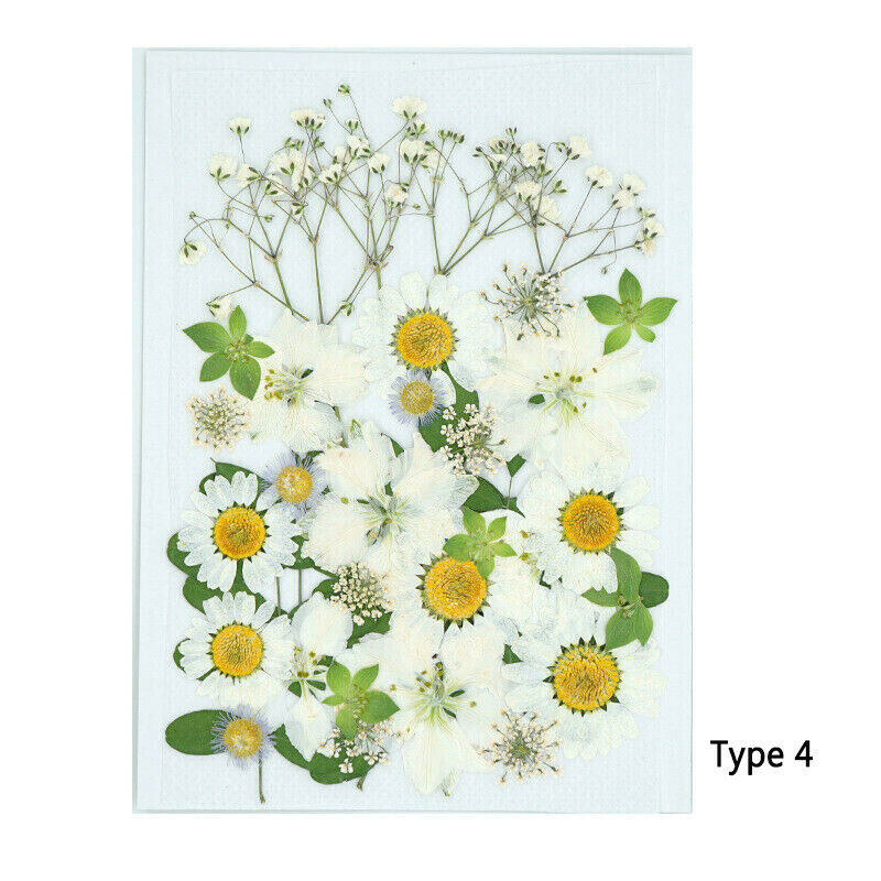 DIY for Resin Jewelry Making Decors Real Dried Press Flowers Candle Making Craft