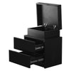 2/3 Drawers High Gloss Front Bedside Table Cabinet LED Nightstand Black/White