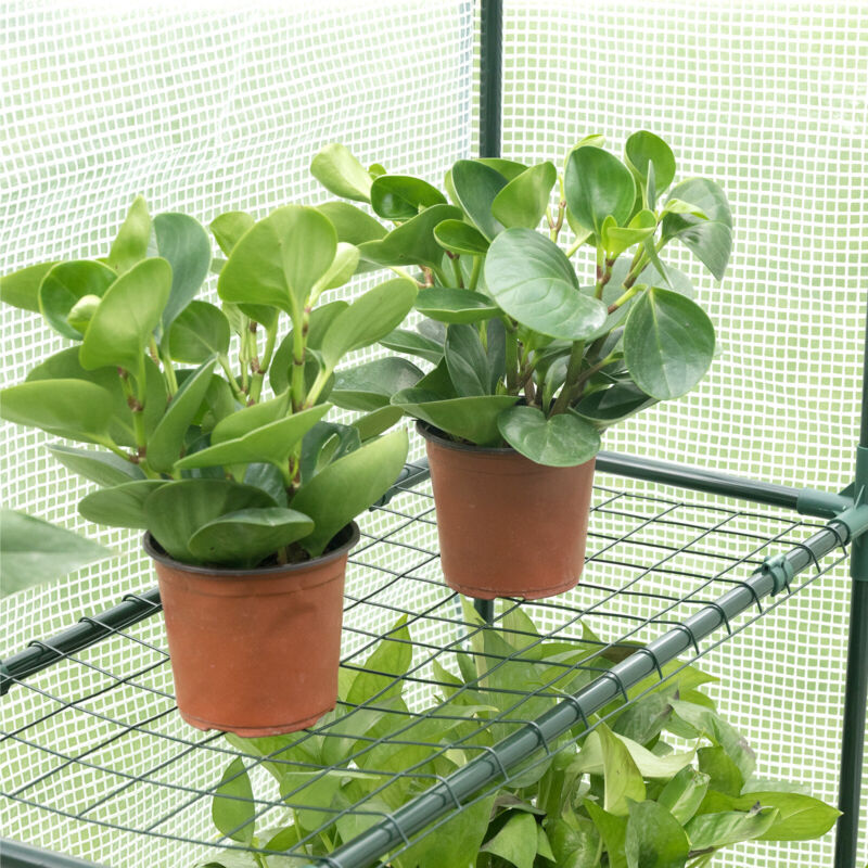 Greenhouse 143x143x195cm PE Garden Plant Grow Green House with Shelves Outdoor