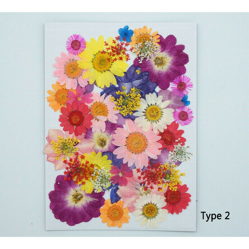 DIY for Resin Jewelry Making Decors Real Dried Press Flowers Candle Making Craft