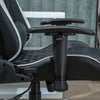 Racing Chair Gaming Chair Office Chair with Headrest Lumbar Pillow Adjustable BN