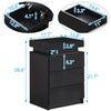 2/3 Drawers High Gloss Front Bedside Table Cabinet LED Nightstand Black/White