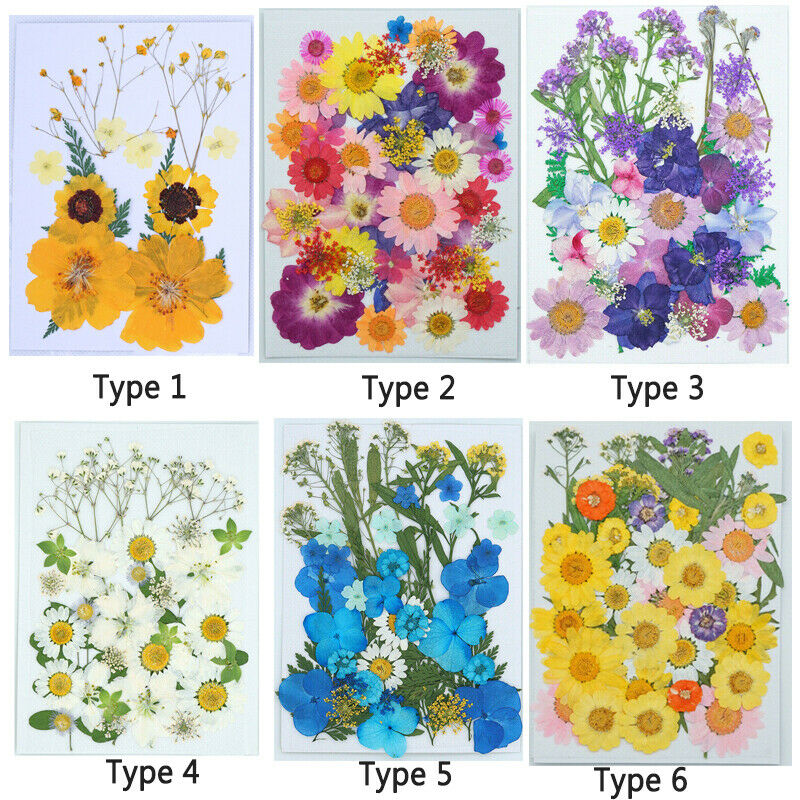 DIY for Resin Jewelry Making Decors Real Dried Press Flowers Candle Making Craft