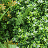 Artificial Living Green Wall Panel 100 x 100cm Plant Flower Foliage Hedge