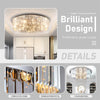 Round Crystal Chandelier Flush Mount LED Ceiling Light Fixture Lamp Color Adjust